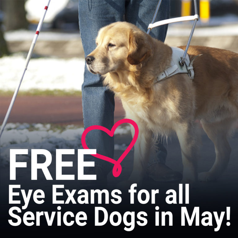 May-Service-Dog-FREE-Eye-Exam-Event