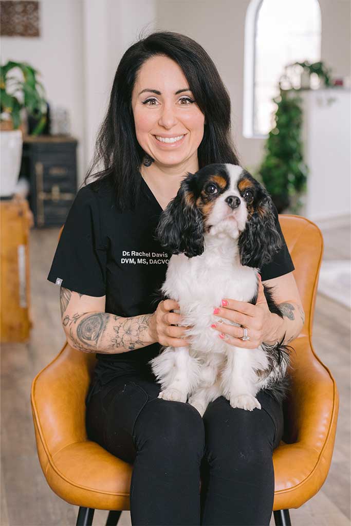 Meet Board Certified Veterinary Opthalmologist Dr. Rachel Davis