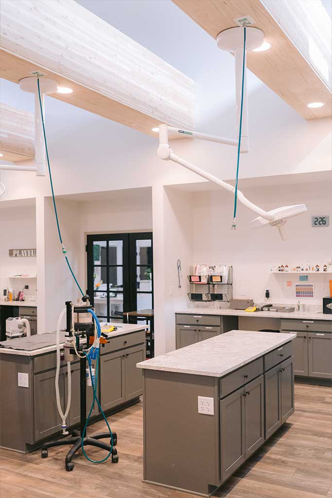 Veterinary ophthalmology exam room designed for pets